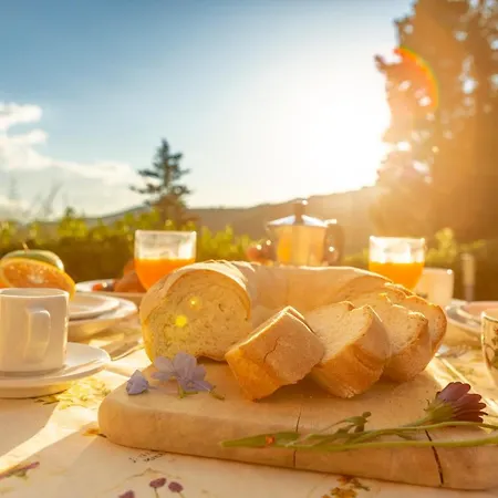 San Martino 费拉约港